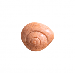 CARAMUJO RESINA - PACOTE 10 PEÇAS