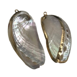 CONCHA ABALONE  - UNIDADE